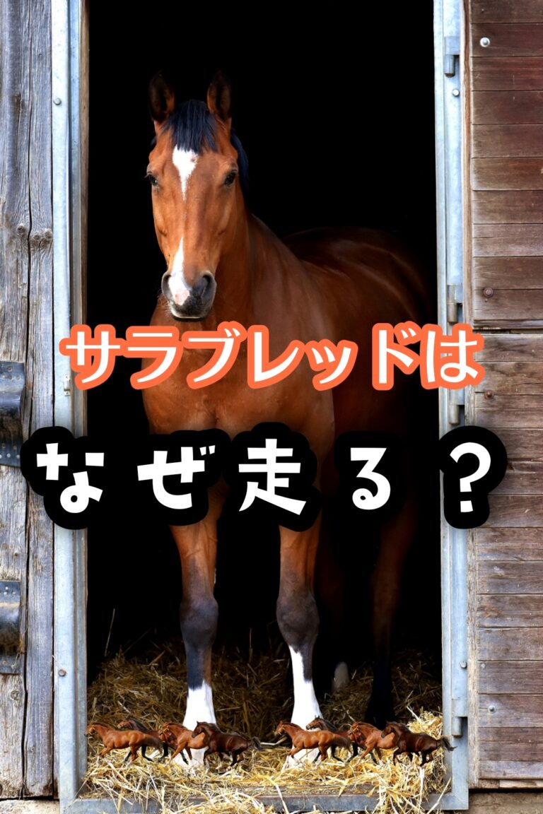 サラブレッドはなぜ競走馬になって走るのだろうか はむはむ競馬塾